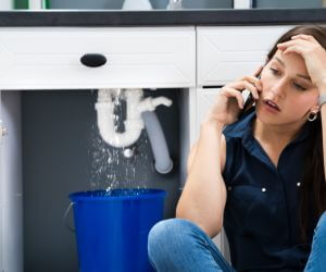 About Emergency plumbing pros Palmyra, NY